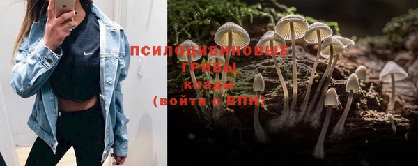 ГАЛЛЮЦИНОГЕННЫЕ ГРИБЫ Богородск